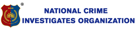 NCIO Logo